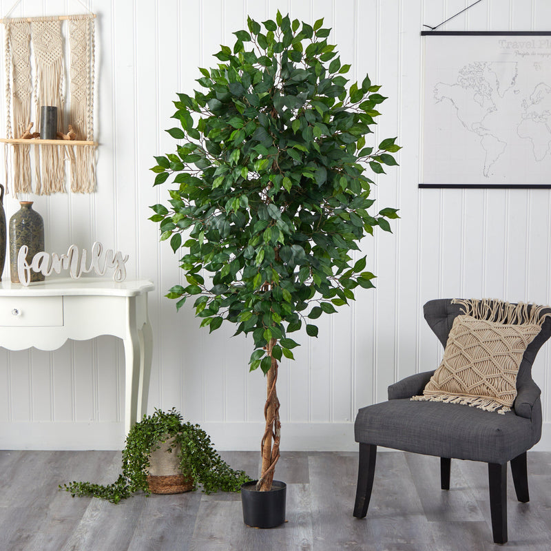 6’ Ficus Artificial Tree in Nursery Planter