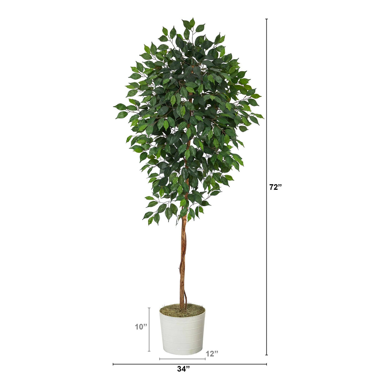 6’ Ficus Artificial Tree in White Tin Planter, photo 2 of 4