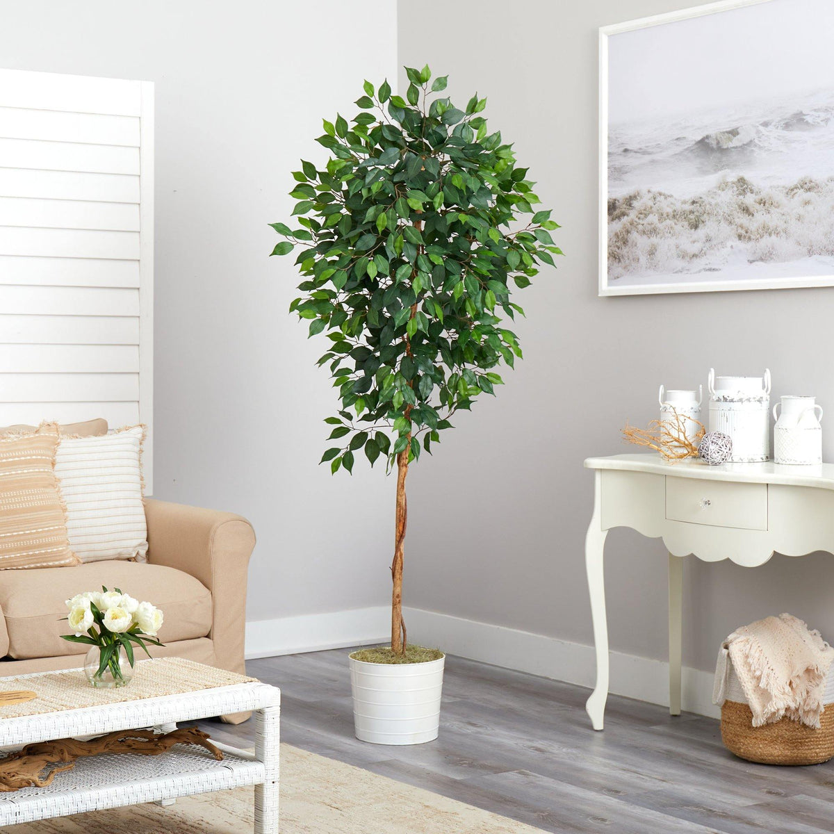 6’ Ficus Artificial Tree in White Tin Planter, photo 4 of 4