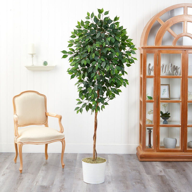 6’ Ficus Artificial Tree in White Tin Planter, photo 3 of 4