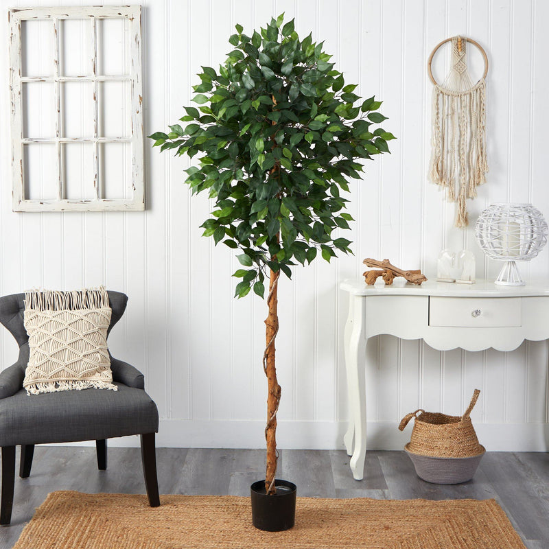 6’ Artificial Ficus Tree, photo 3 of 4