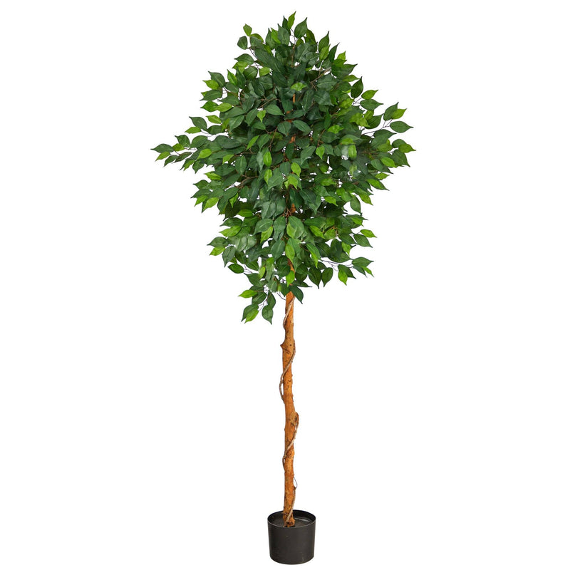 6’ Artificial Ficus Tree