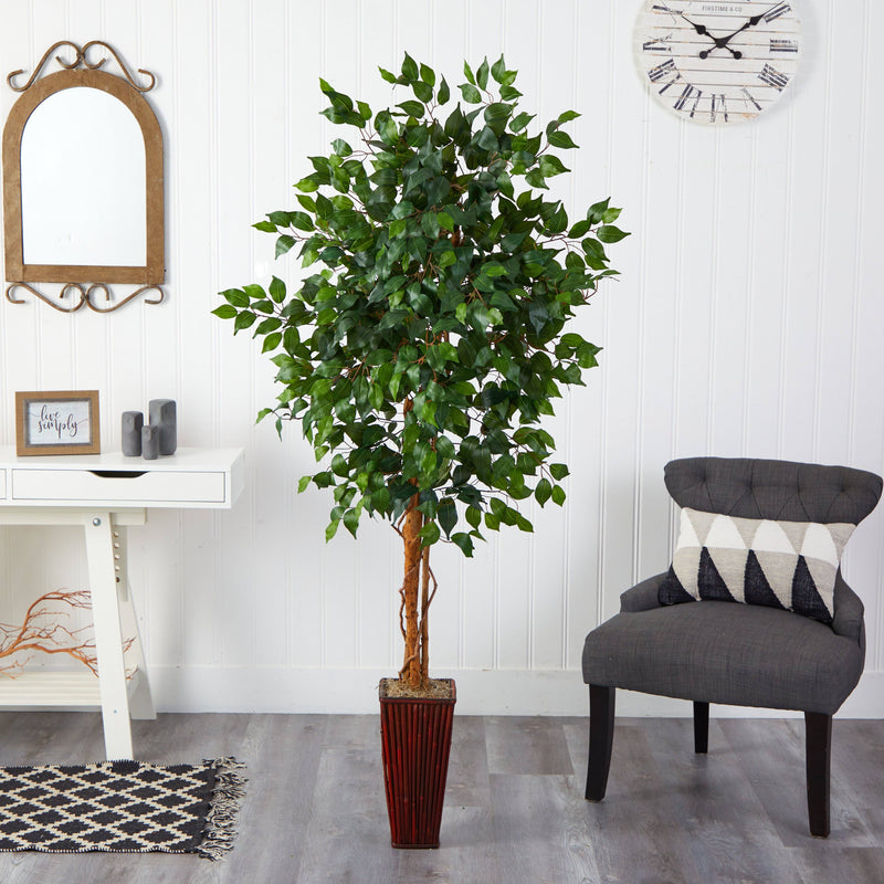 6' Ficus Tree w/Bamboo Planter, photo 3 of 5