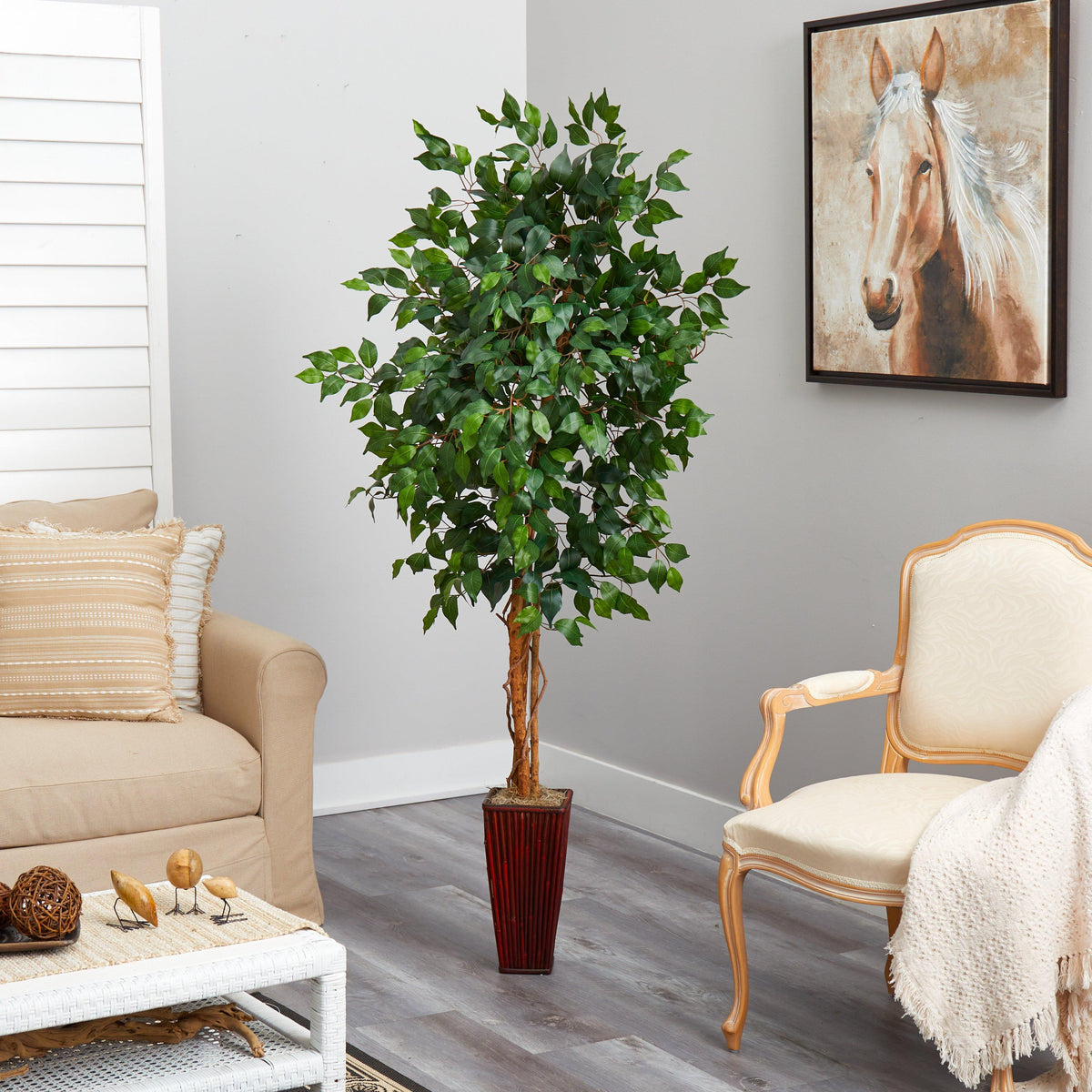 6' Ficus Tree w/Bamboo Planter, photo 4 of 5