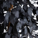 6' Artificial Halloween Black Ficus Tree with Natural Trunk