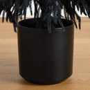 6' Artificial Halloween Real Touch Black Norfolk Pine Christmas Tree with Natural Look