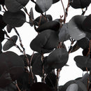 6' Pre-Lit Artificial Halloween Black Eucalyptus Tree with 300 Orange & Purple LED Lights