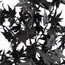 6' Pre-Lit Artificial Halloween Black Maple Tree with 300 Orange & Purple LED Lights