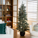 6' Pre-Lit Artificial Pine Christmas Tree in Round Black Decorative Planter with 60 Warm White LED Lights
