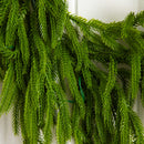 6' Pre-Lit Artificial Real touch Norfolk Island Pine Garland with 35 Warm White LED Lights and Natural Look