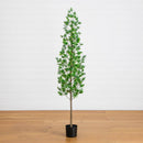 6' UV Artificial Podocarpus Artificial Tree (Indoor/Outdoor)