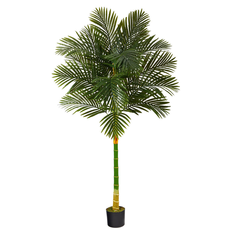 6’ Single Stalk Golden Cane Artificial Palm Tree