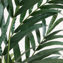 6’ Kentia Palm Tree
