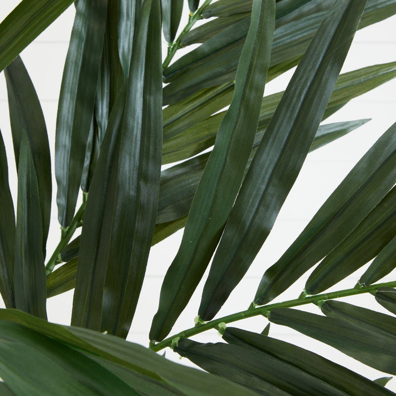 6' Kentia Silk Tree, photo 2 of 3