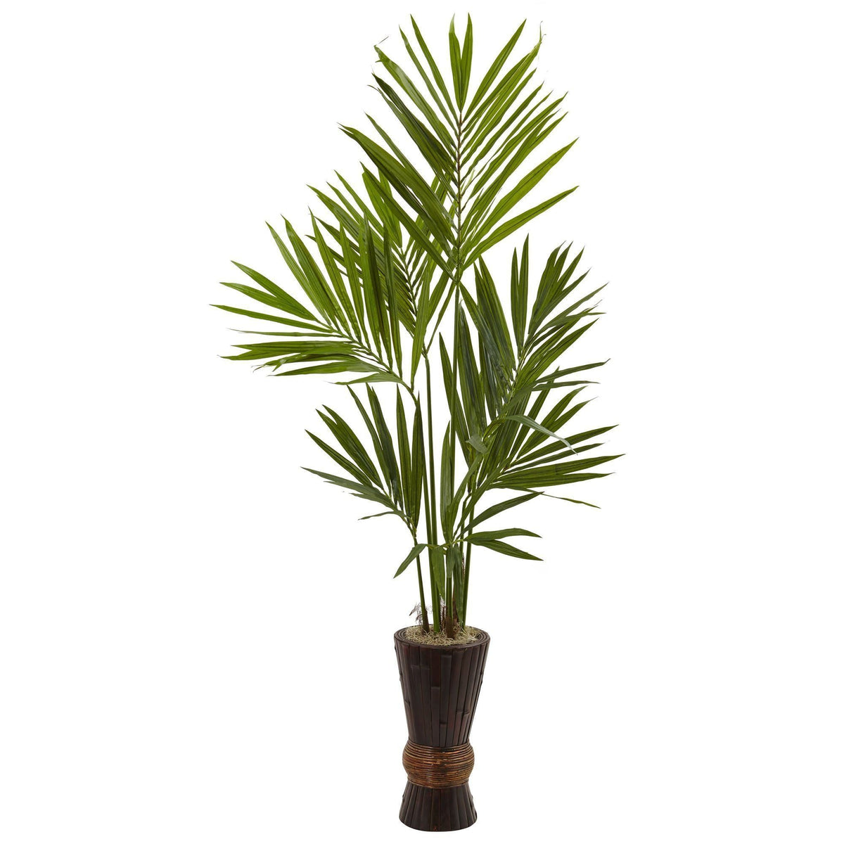 6’ Kentia Tree w/Bamboo Planter, photo 3 of 3
