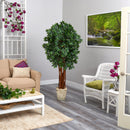 6’ Lychee Artificial Tree in Country White Planter