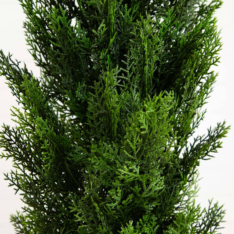 6' Mini Cedar Pine Tree (Indoor/Outdoor)