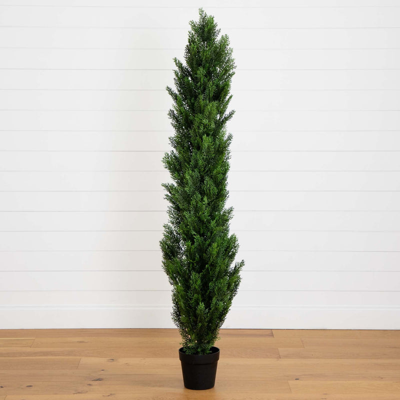 6' Mini Cedar Pine Tree (Indoor/Outdoor)