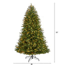 6' Norwegian Mountain Fir Christmas Tree with 1448 Bendable Branches and 400 Clear LED Lights