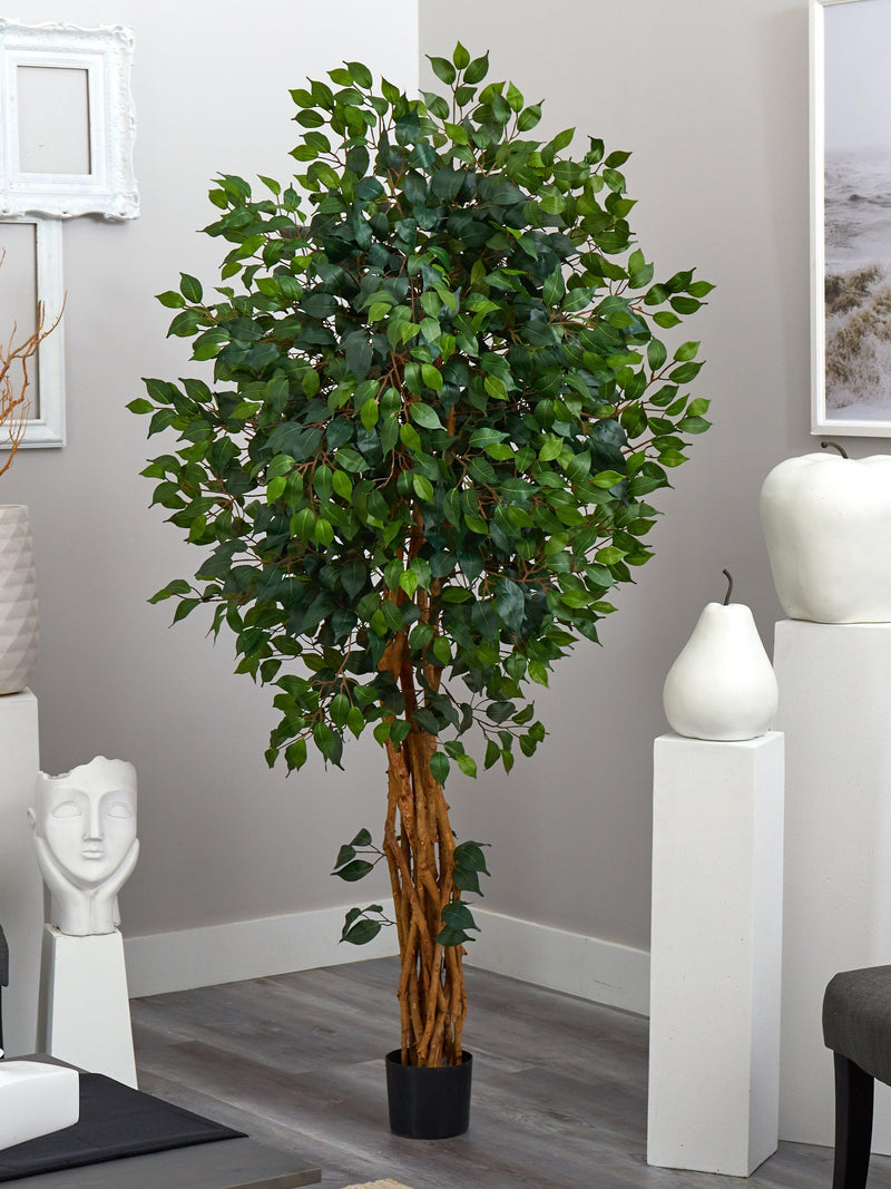 6'  Palace Style Ficus Silk Tree, photo 3 of 6