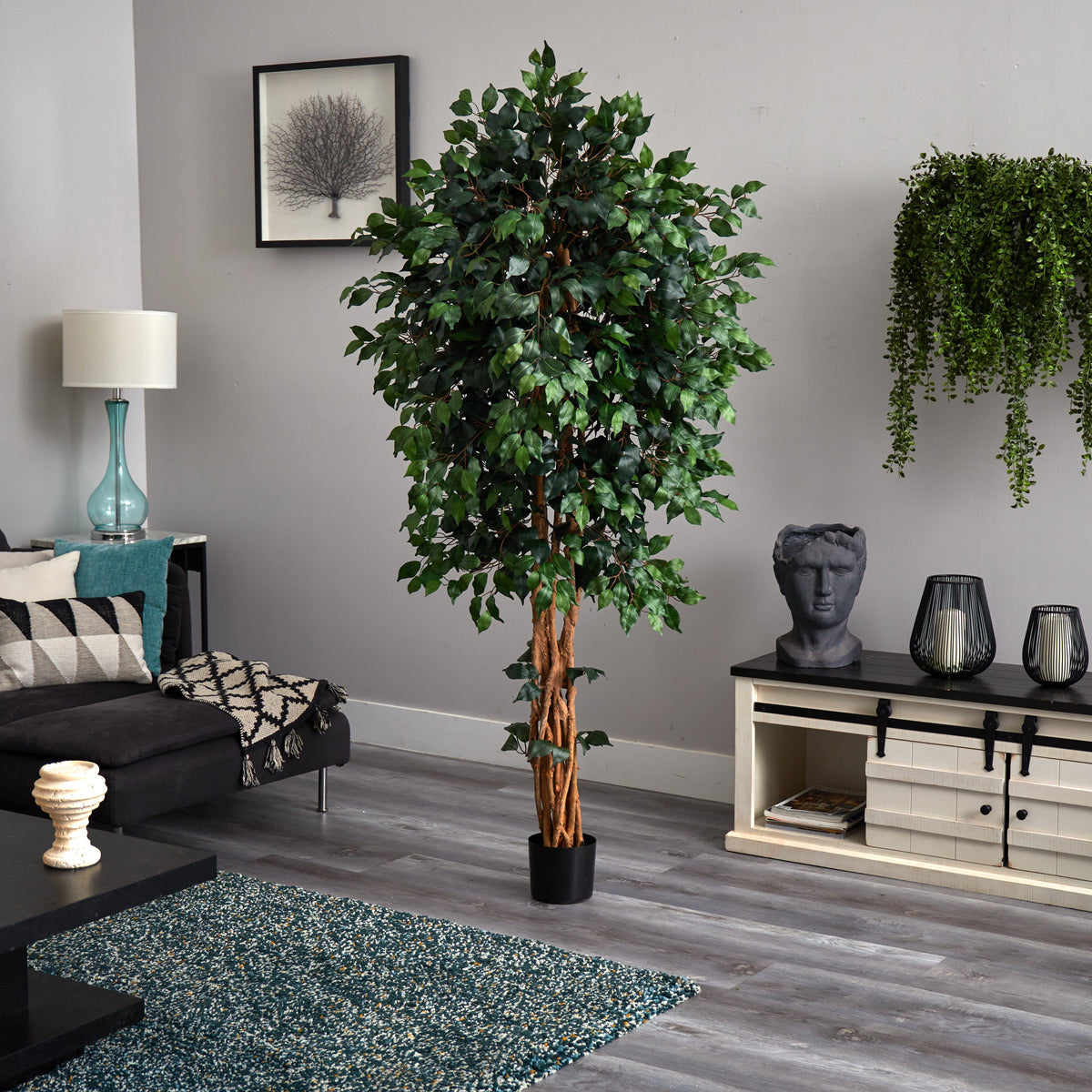 6'  Palace Style Ficus Silk Tree, photo 4 of 6