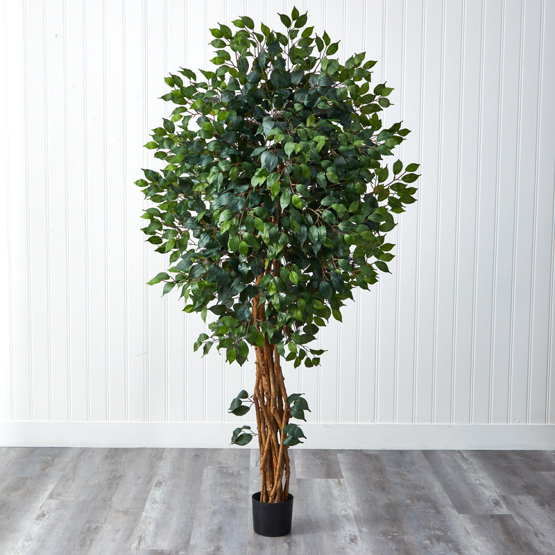 6'  Palace Style Ficus Silk Tree, photo 5 of 6