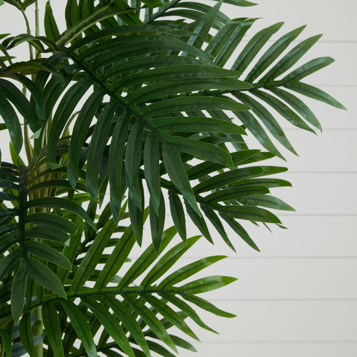 6’ Phoenix Palm Artificial Tree, photo 2 of 2