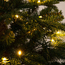 6’ Pre-Lit Artificial Idaho Mixed Fir Christmas Tree with 130 Warm White LED Lights