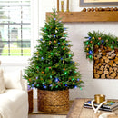 6' Pre-Lit Artificial Luxembourg Pine Christmas Tree with 250 Multicolored Traditional Bulb LED Lights
