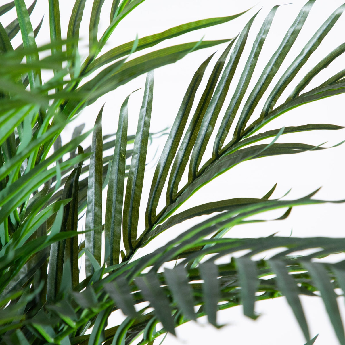 6' Robellini Palm Artificial Tree, photo 2 of 6