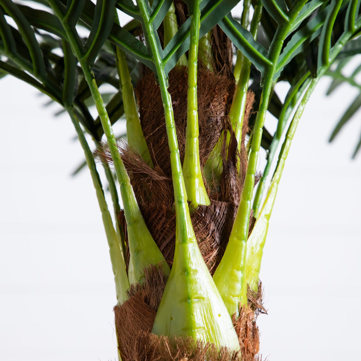 6' Robellini Palm Artificial Tree, photo 3 of 6