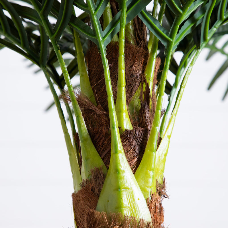 6' Robellini Palm Artificial Tree, photo 3 of 6