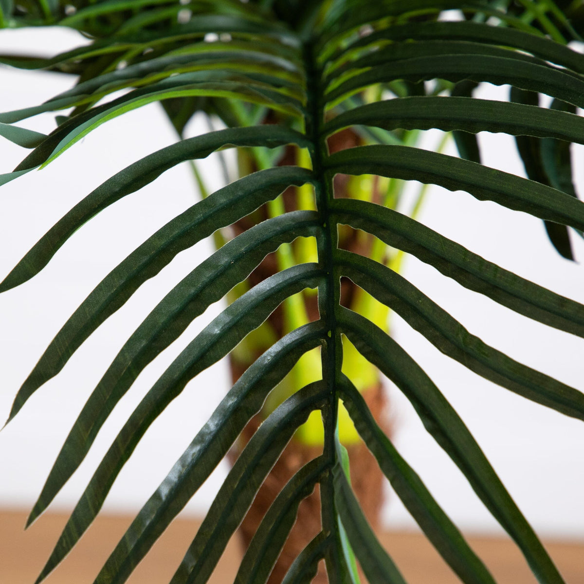 6' Robellini Palm Artificial Tree, photo 4 of 6