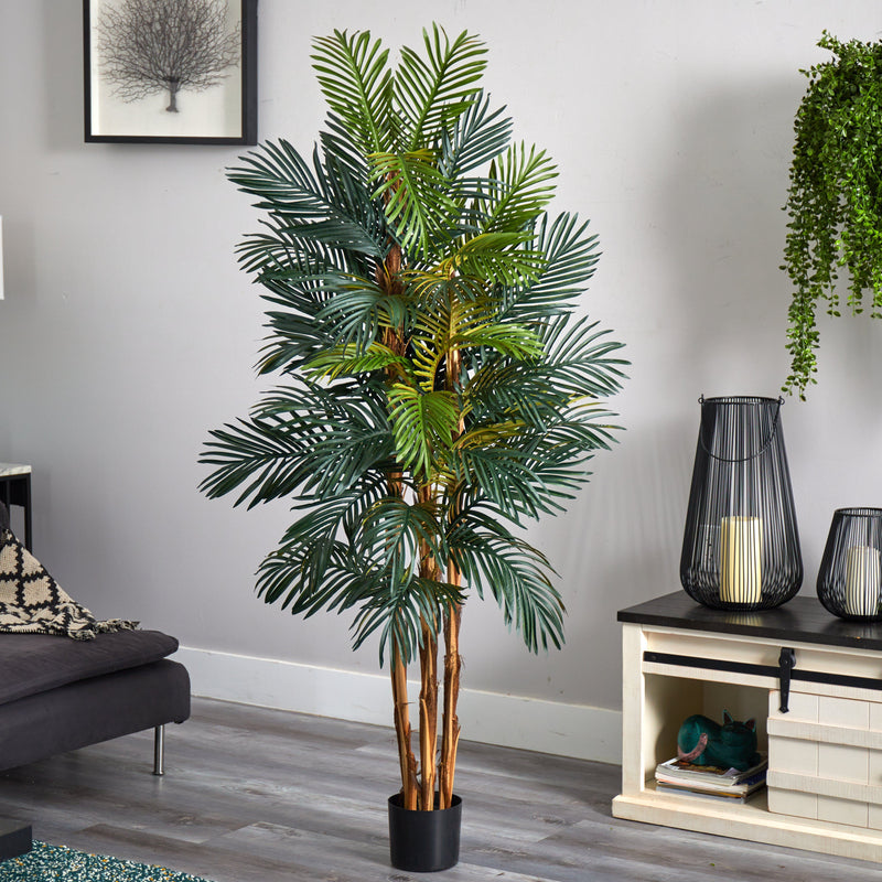 6' Robellini Palm Silk Tree, photo 2 of 3