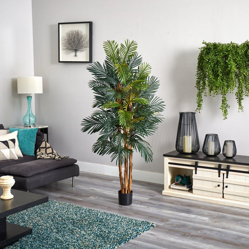 6' Robellini Palm Silk Tree, photo 3 of 3