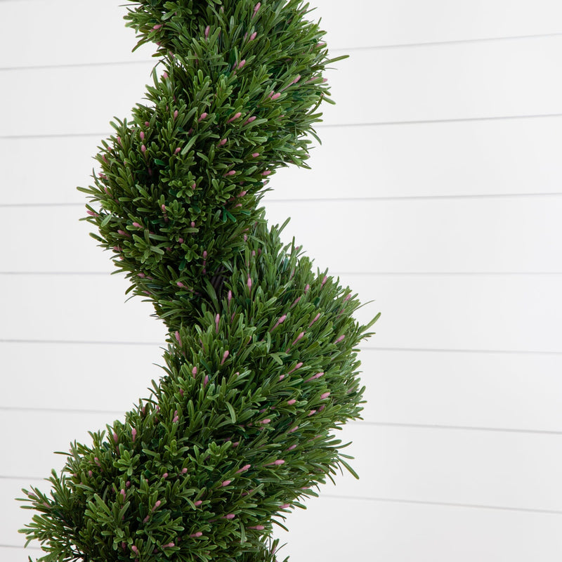 6' Rosemary Spiral Tree (Indoor/Outdoor), photo 2 of 3
