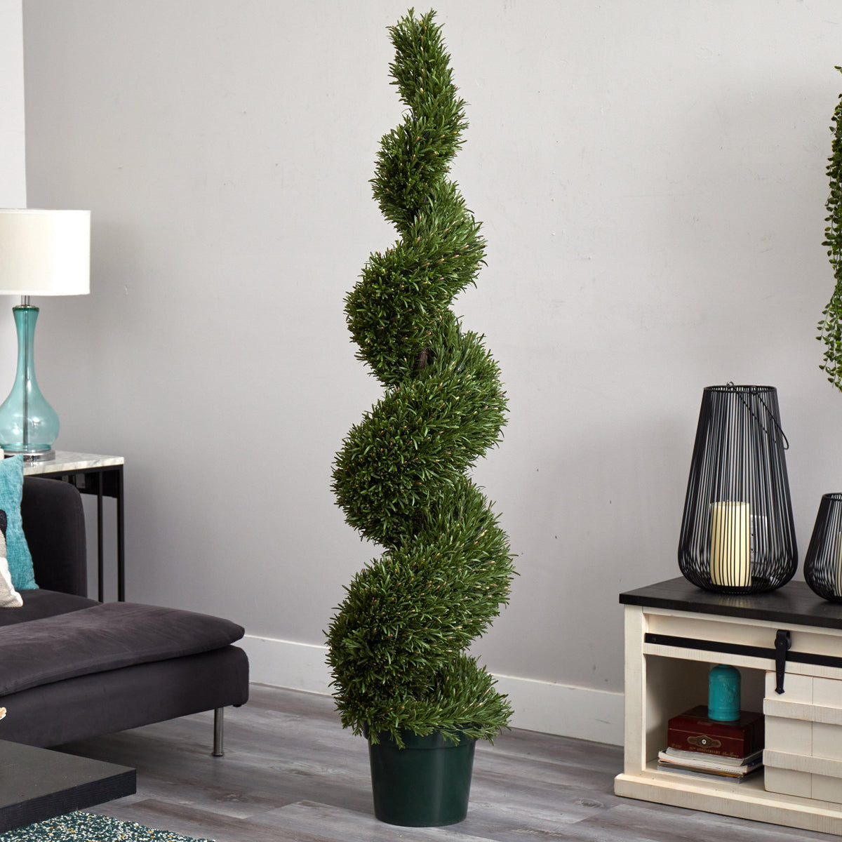 6' Rosemary Spiral Tree (Indoor/Outdoor), photo 3 of 3