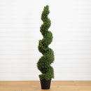 6' Rosemary Spiral Tree (Indoor/Outdoor)