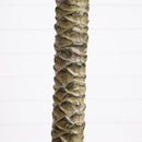 6' Sago Palm Silk Tree