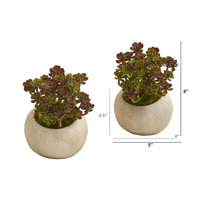 6” Sedum Succulent Artificial Plant in Stone Planter (Set of 2), photo 2 of 2