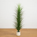 6’ UV Resistant Artificial Grass Plant in White Decorative Planter (Indoor/Outdoor)