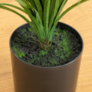 6’ UV Resistant Artificial Grass Plant (Indoor/Outdoor)