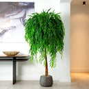 6’ Willow Artificial Tree  (Real Touch)
