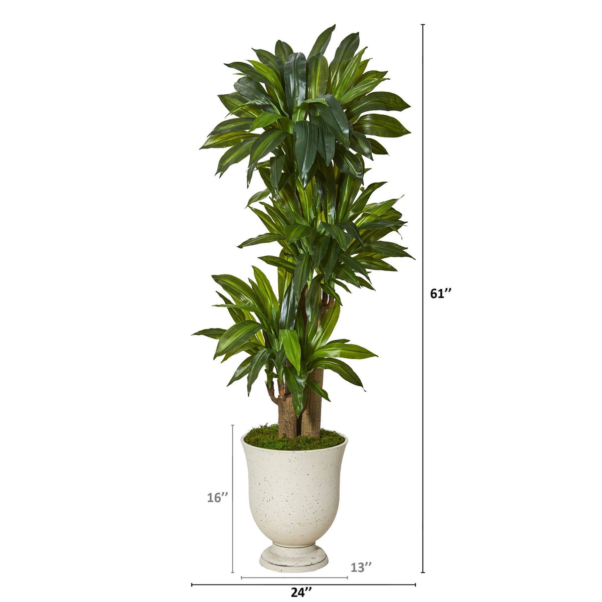 61” Corn Stalk Dracaena Artificial Plant in Decorative Urn (Real Touch), photo 2 of 2