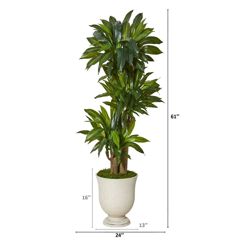 61” Corn Stalk Dracaena Artificial Plant in Decorative Urn (Real Touch), photo 2 of 2