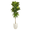 62” Dracaena Artificial Plant in White Planter (Real Touch)