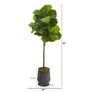 62” Fiddle Leaf Artificial Tree in Ribbed Metal Planter (Real Touch)