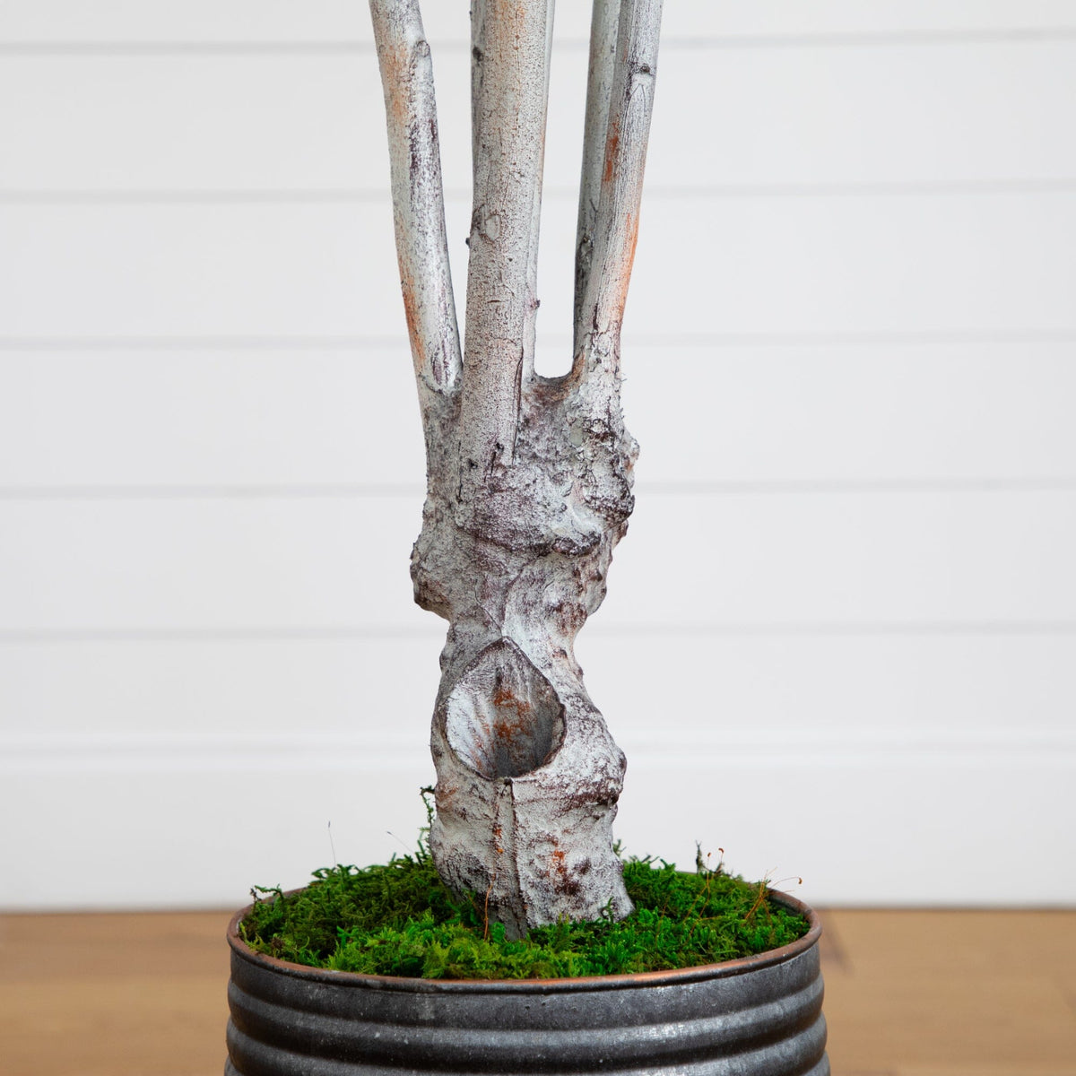 62” Olive Artificial Tree in Ribbed Metal Planter, photo 5 of 8
