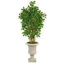 63” Black Olive Artificial Tree in Sand Finished Urn