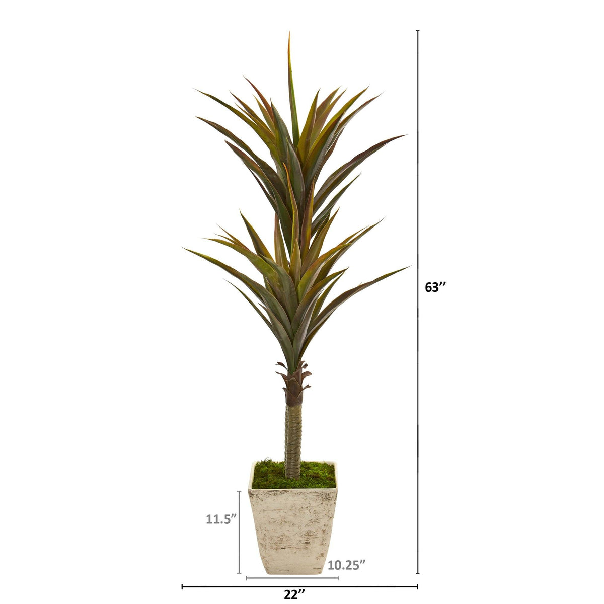 63” Yucca Artificial Tree in Country White Planter, photo 2 of 2